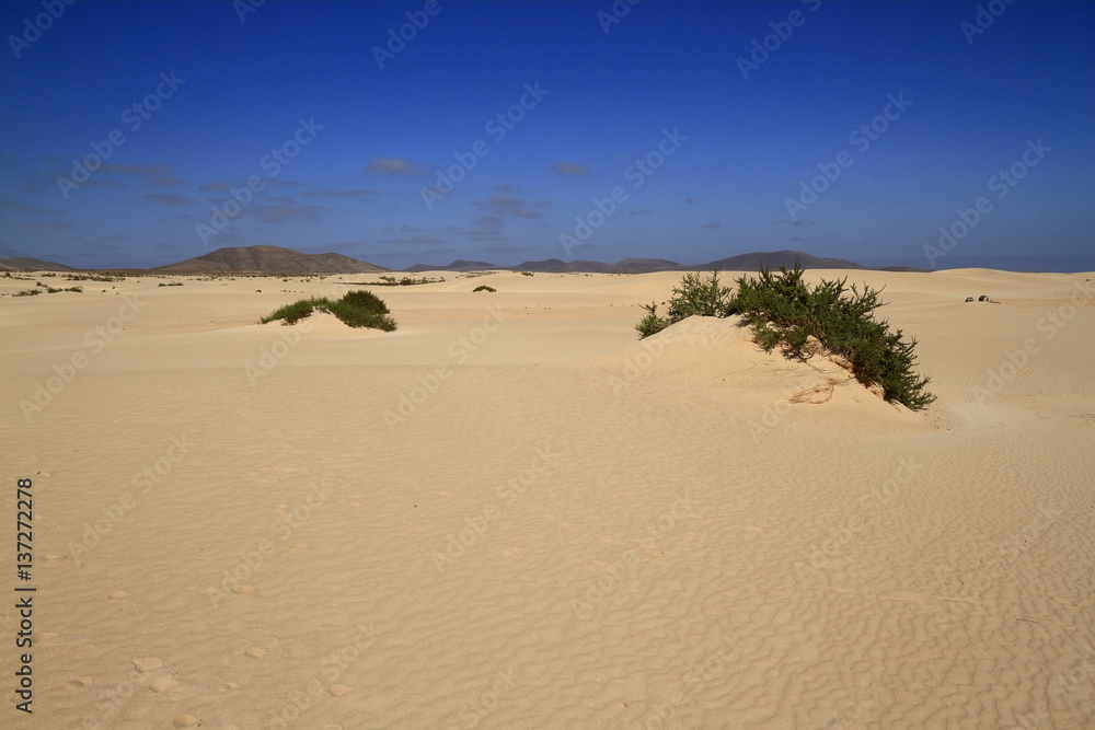 Dunes of Corralejo, Fuerteventura
