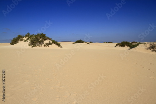 Dunes of Corralejo, Fuerteventura