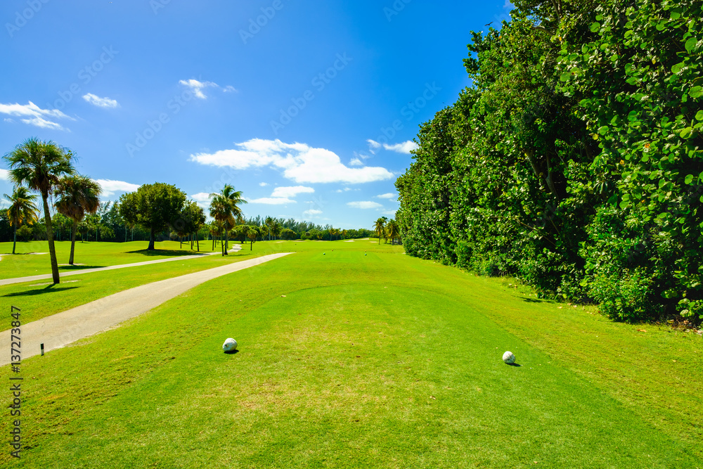 Fototapeta premium Beautiful golf course