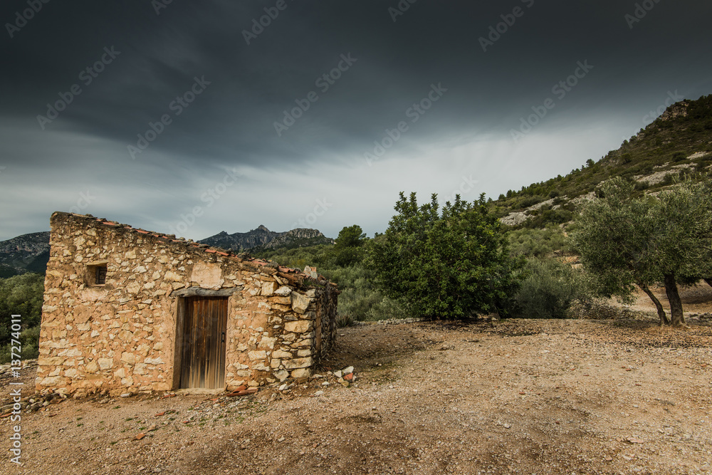 Rural dry stone house in olive tree orchand
