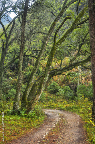 The countryside road scenery 