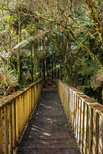 Wooden Bridge in Waitomo, New Zealand.