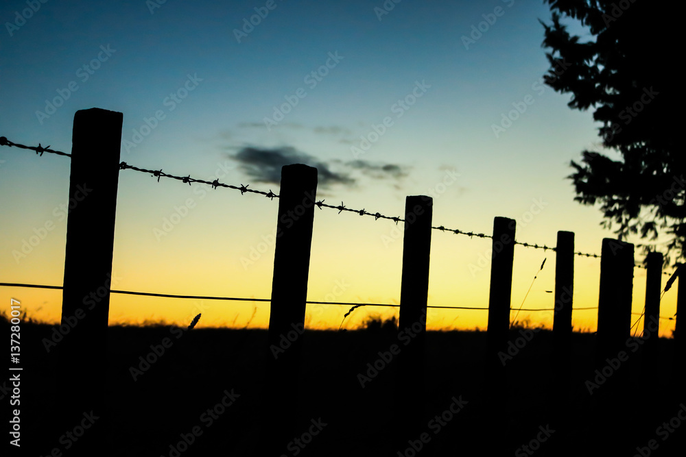 Fence silhouette Fence silhouette