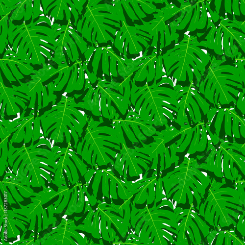 Seamless pattern with tropical leaves