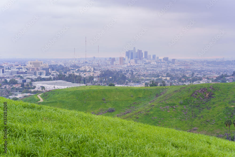 Fototapeta premium Beautiful nature landscape on Ascot Hills Park