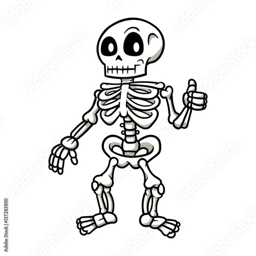 Cartoon Skeleton Giving a Thumbs Up Vector Illustration