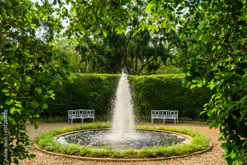 fountain among the trees