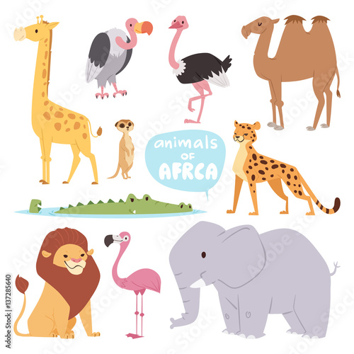 Africa animals large outdoor graphic travel desert mammal wild portrait and cute cartoon safari park national savannah elephant flat vector illustration.