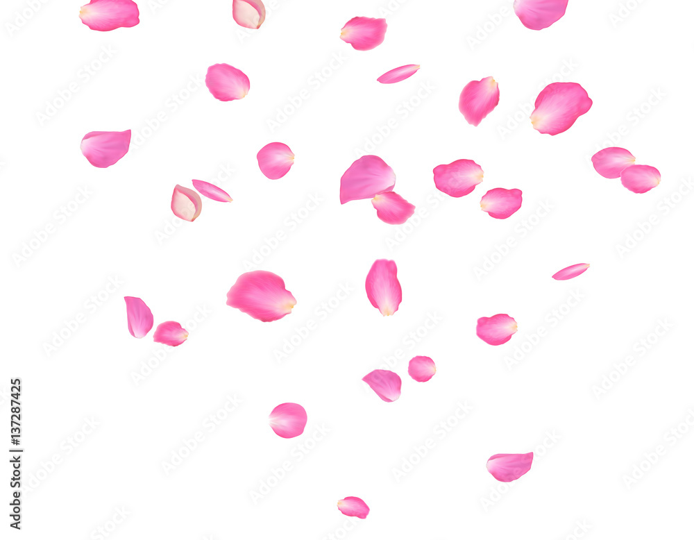 Abstract background with flying pink rose petals. Vector illustration isolated on a background. Abstract background with flying pink rose petals. Vector illustration isolated on a background.