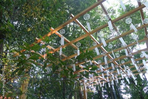 Japanese Wind Chimes in a Garden photo