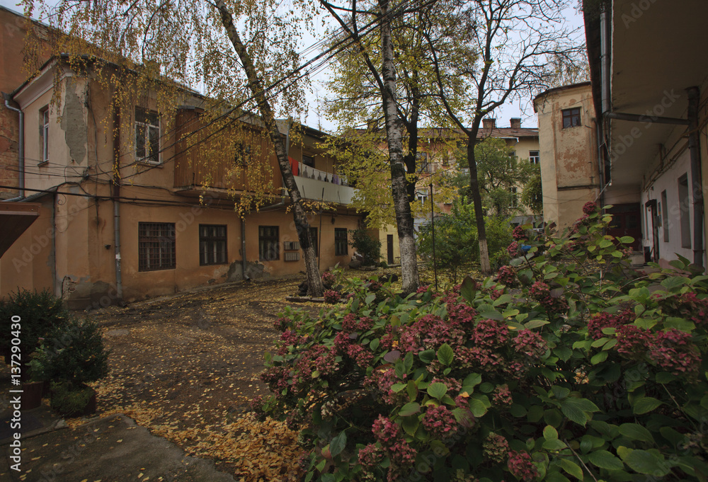 Цветочный дворик. Черновцы, Украина.