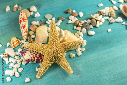 Starfish  shells  and pebbles on vibrant turquoise background