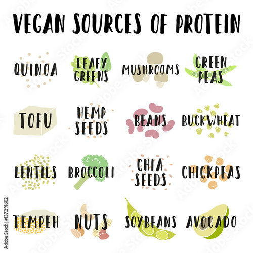 Vegan sources of protein. Vector hand drawn info illustration