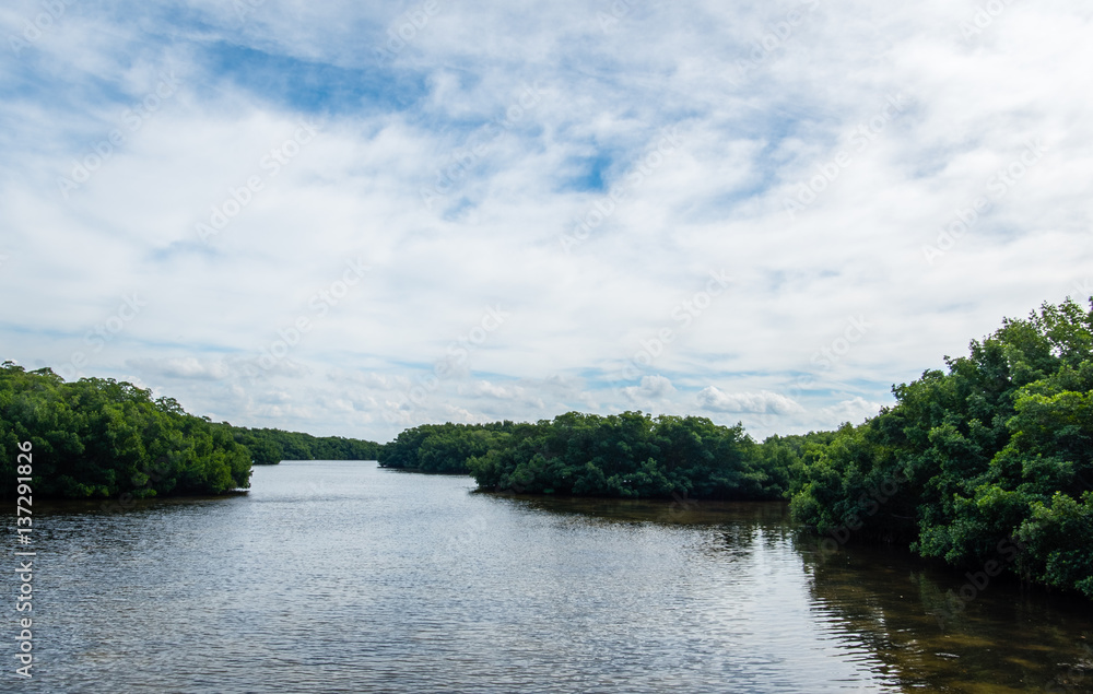 Weedon Island Preserve Weedon Island Preserve
