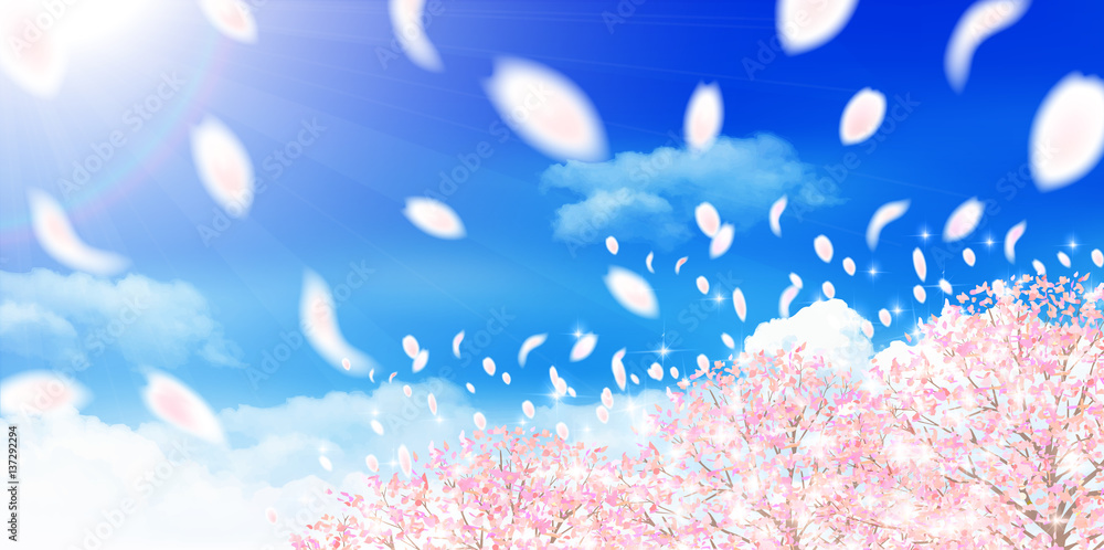 Fototapeta premium 桜 春 花 背景