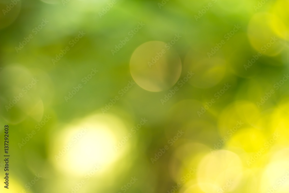 Fototapeta premium green blurred backdrop of nature, circle light wallpaper, white bokeh background