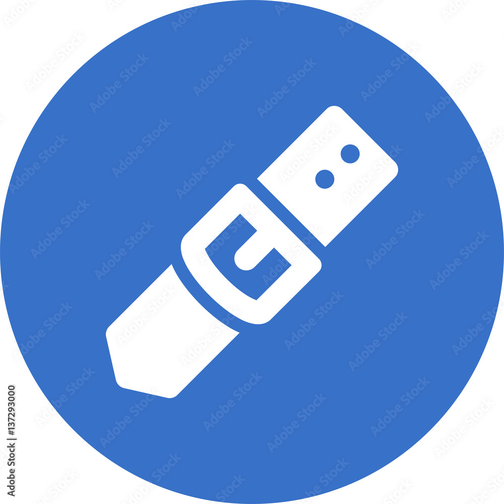 belt-and-buckle icon
