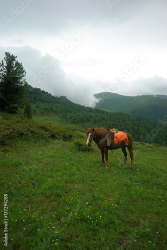 Altay © Filip Pestrikov