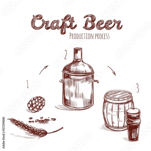 Brewing Process Hand Drawn Concept