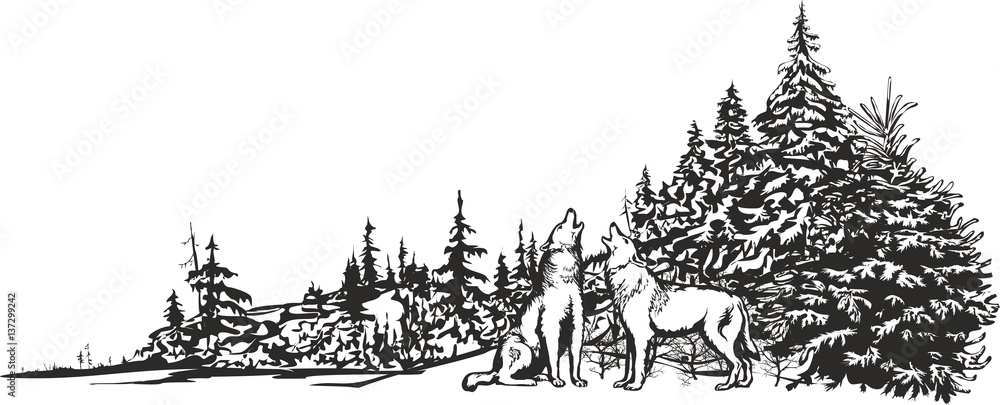 Fototapeta premium Wycie wilków / Grafika wektorowa dwóch wilków wyjących na tle zimowego lasu.