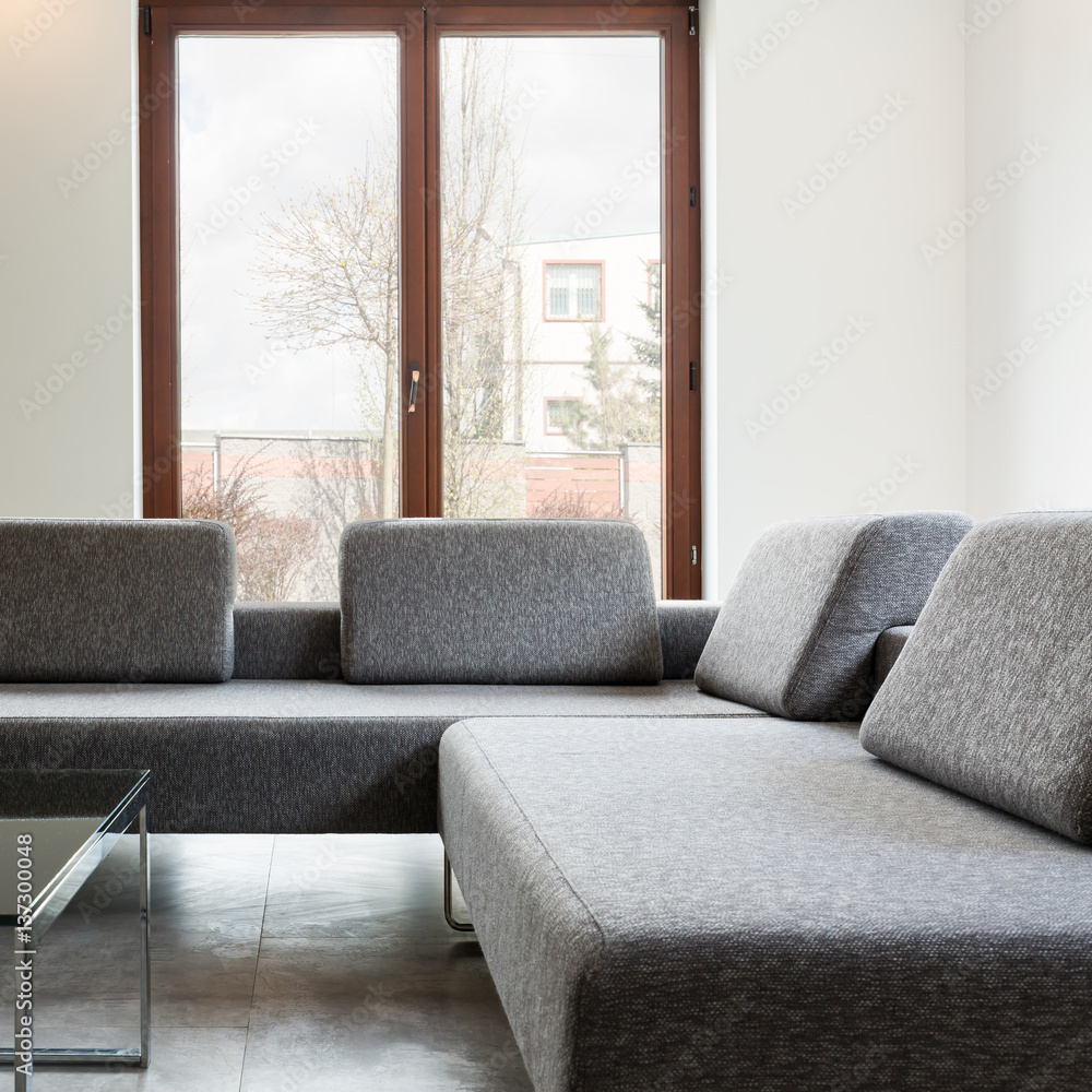 Fototapeta premium Light interior with big windows and sofa