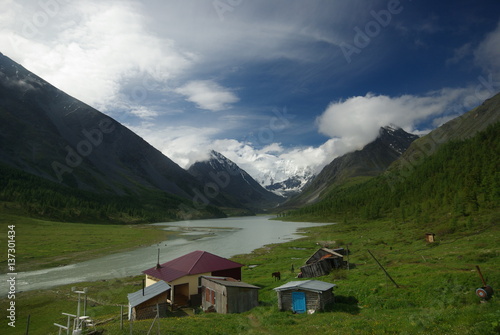 Altay