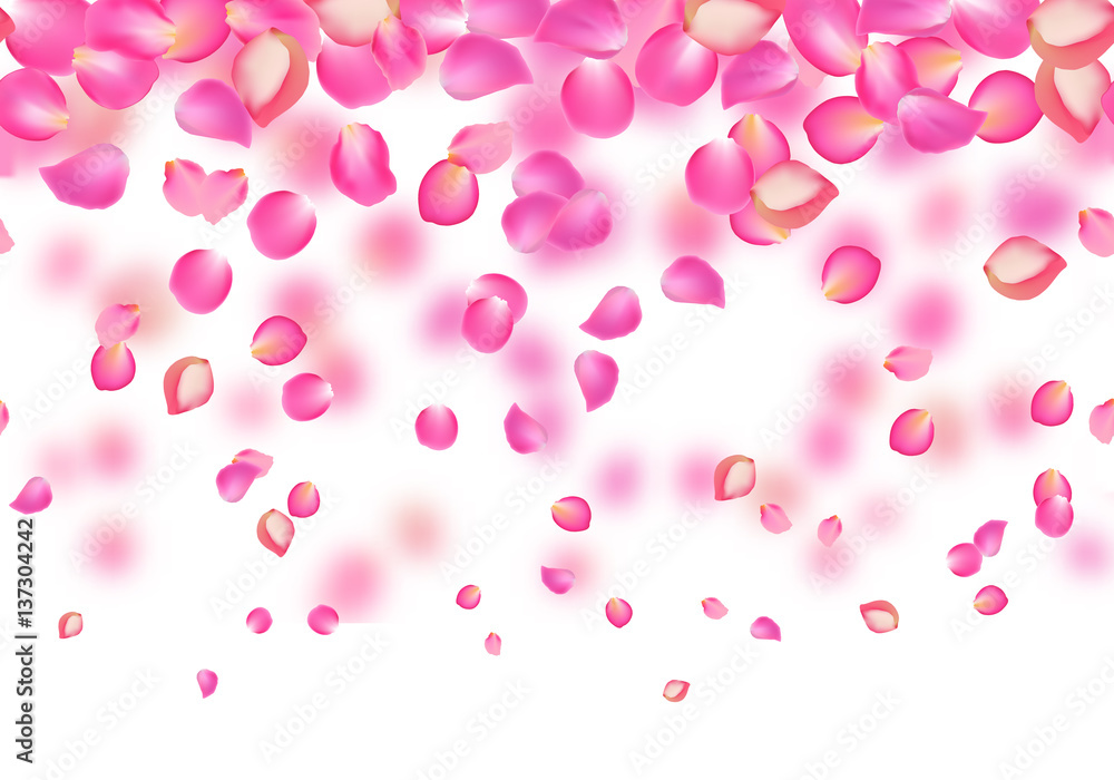Vector falling rose pink petals. Floral background
