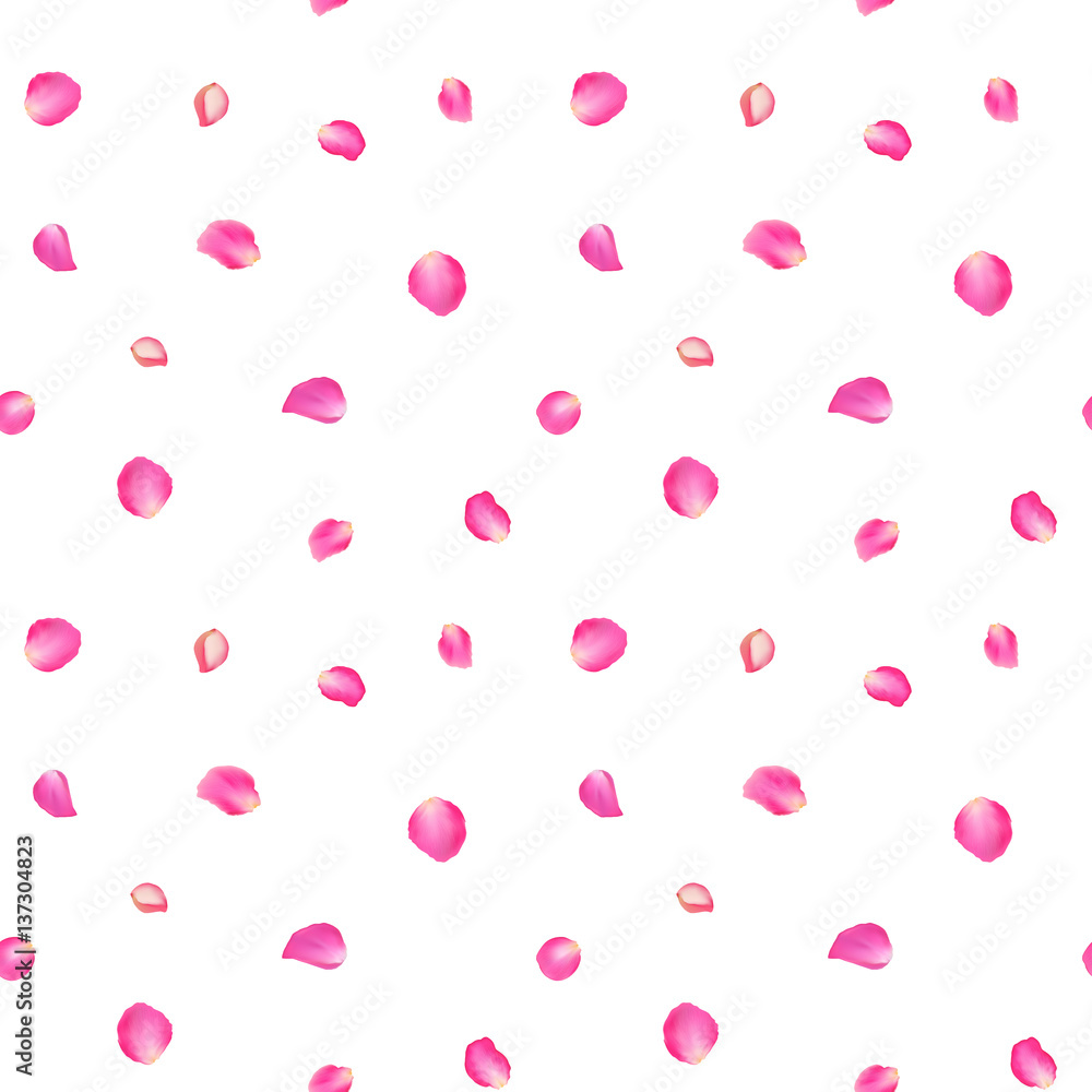 Texture from petals of roses on the isolated background seamless pattern