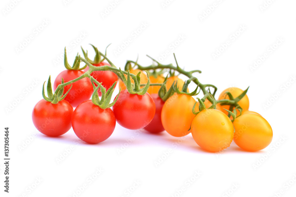 Close up group of tomato on white background Close up group of tomato on white background