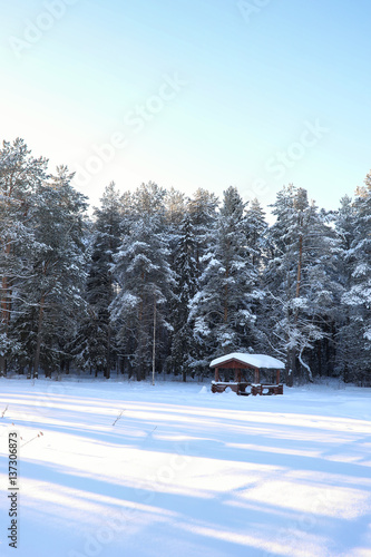 wooden gazebo in forest in winter sunny day