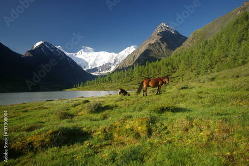 Wallpaper Mural Altay Torontodigital.ca