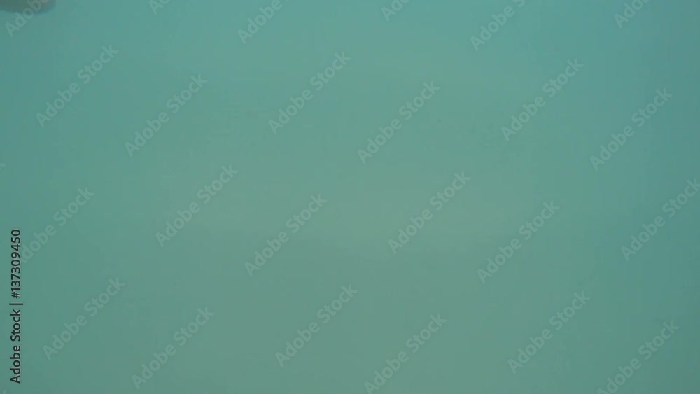 Man Diving Snorkelling Underwater Man Diving Snorkelling Underwater