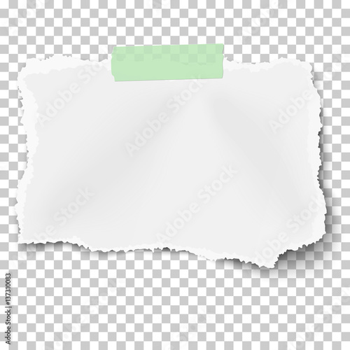 Ripped square paper scrap with soft shadow on piece of green sticky adhesive tape isolated on transparent checkered background. Template design.