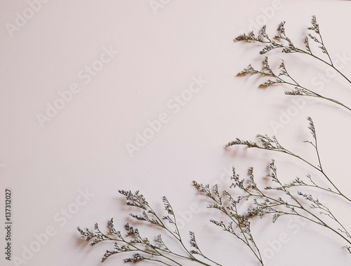 dry flower background