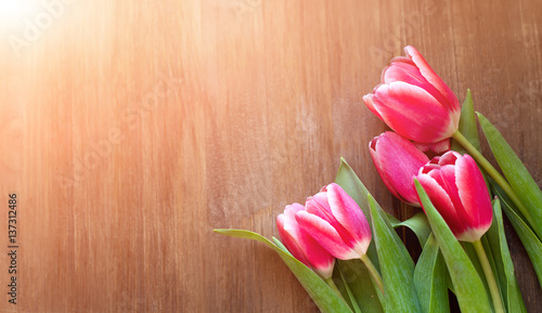 Fototapeta Naklejka Na Ścianę i Meble -  Bright pink tulips on natural wooden background, with the spray of the water, in honor of women's day