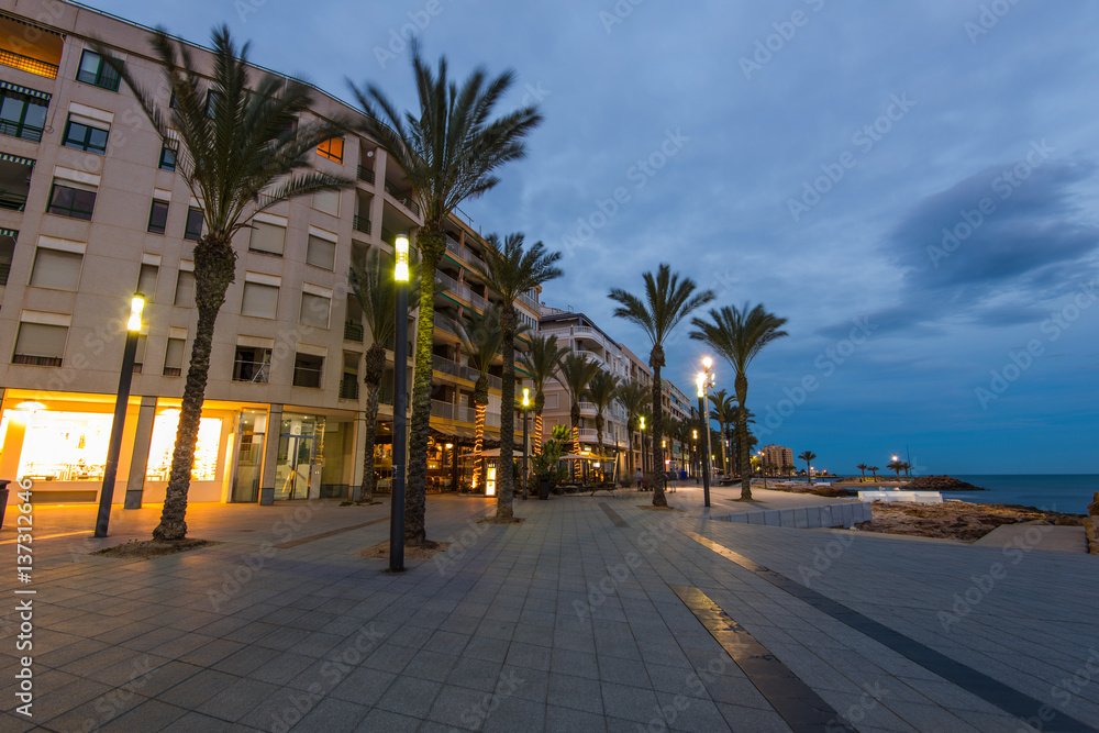 Obraz premium Palms on city famous promenade in Torrevieja, Spain