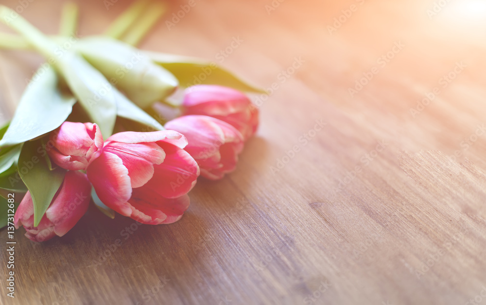 Bright pink tulips on natural wooden background, with the spray of the water, in honor of women's day Bright pink tulips on natural wooden background, with the spray of the water, in honor of women's day