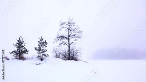 Wallpaper Mural Foggy frozen lake landscape Torontodigital.ca