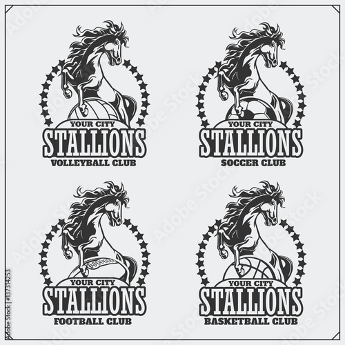 Volleyball, baseball, soccer and football logos and labels. Sport club emblems with horse.