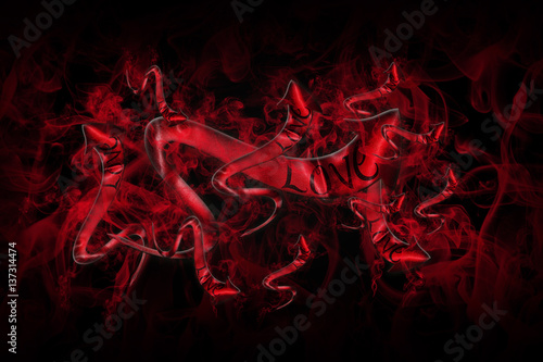 Obraz na plátně Love Concept