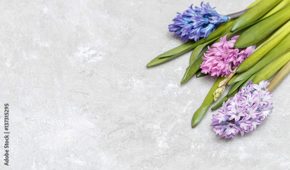 spring flowers background spring flowers background