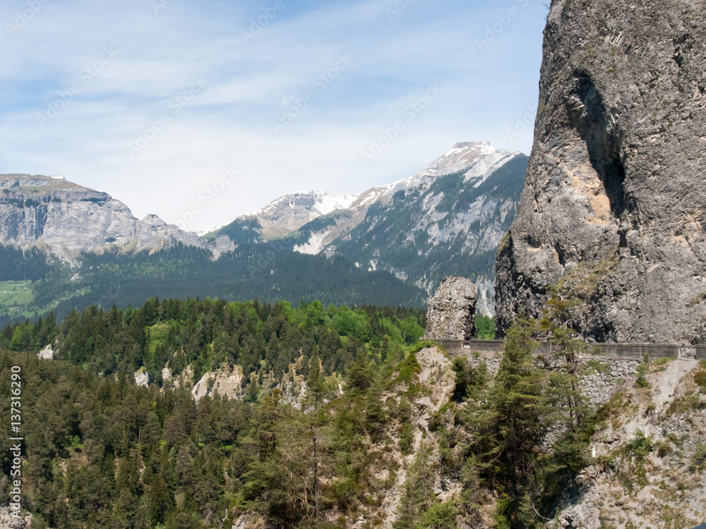 Fototapeta premium Rheinschlucht