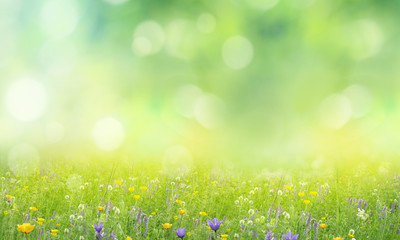 summer background