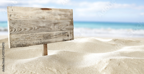 sand and sea 