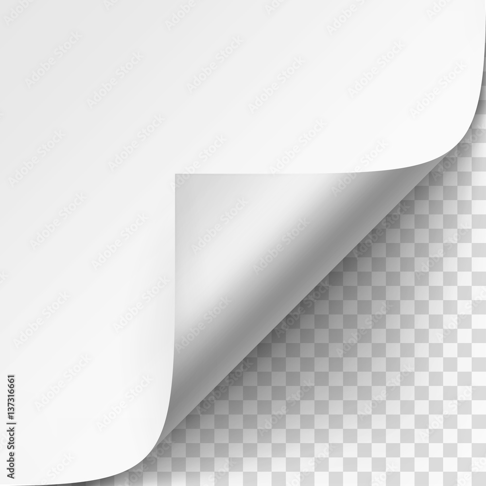 Vector Curled corner of White paper with shadow Mock up Close up Isolated on Transparent Background Vector Curled corner of White paper with shadow Mock up Close up Isolated on Transparent Background