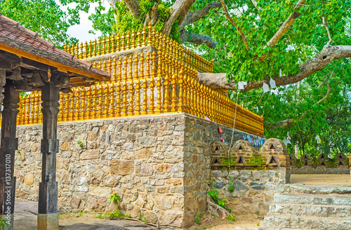 The Bo tree behind the golden fence photo