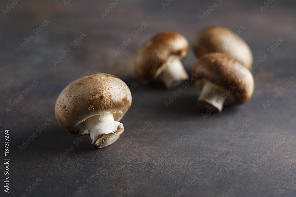 Mushrooms champignons close up on a dark background Mushrooms champignons close up on a dark background
