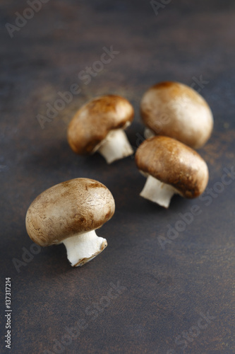 Fresh brown mushrooms champignons on a dark background