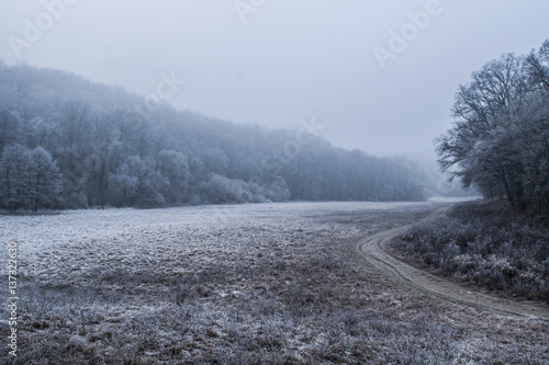 winter landscape © Radek