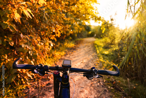 Bike at Parque de Turia of Valencia park sunset photo